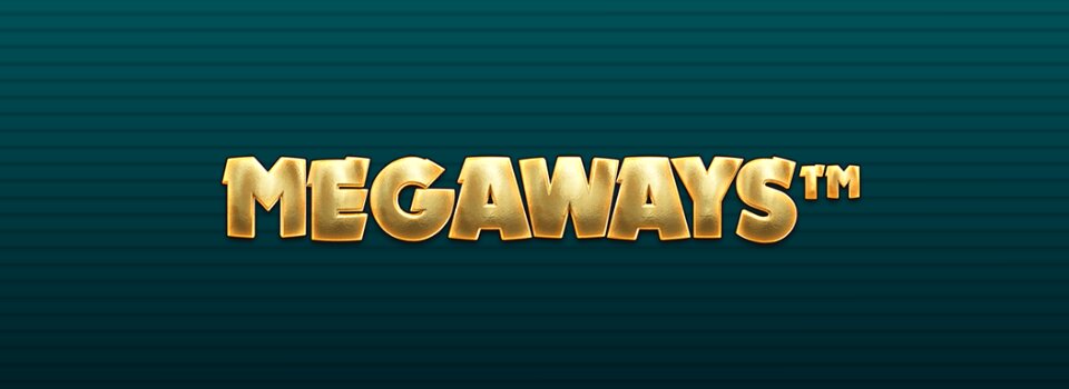 Betchamps Live Dealer Games Qatar Experience
