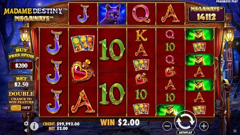 Betchamps Qatar Slots & Casino Guide 2026